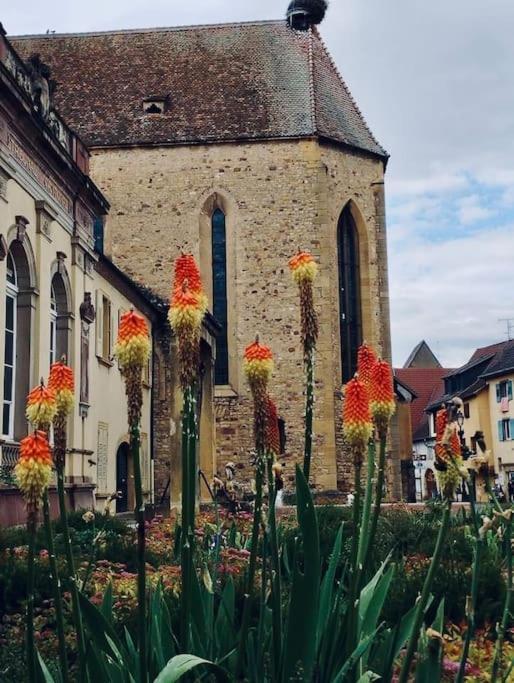 Les Gites De La Poterne Rouffach Bagian luar foto